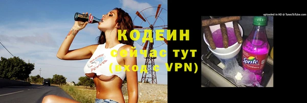 Альфа ПВП Верея