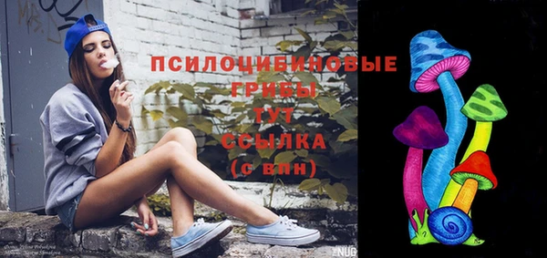 твердый Бронницы